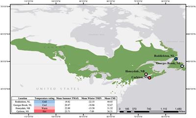 Phenotypic plasticity enables considerable acclimation to heat and drought in a cold-adapted boreal forest tree species